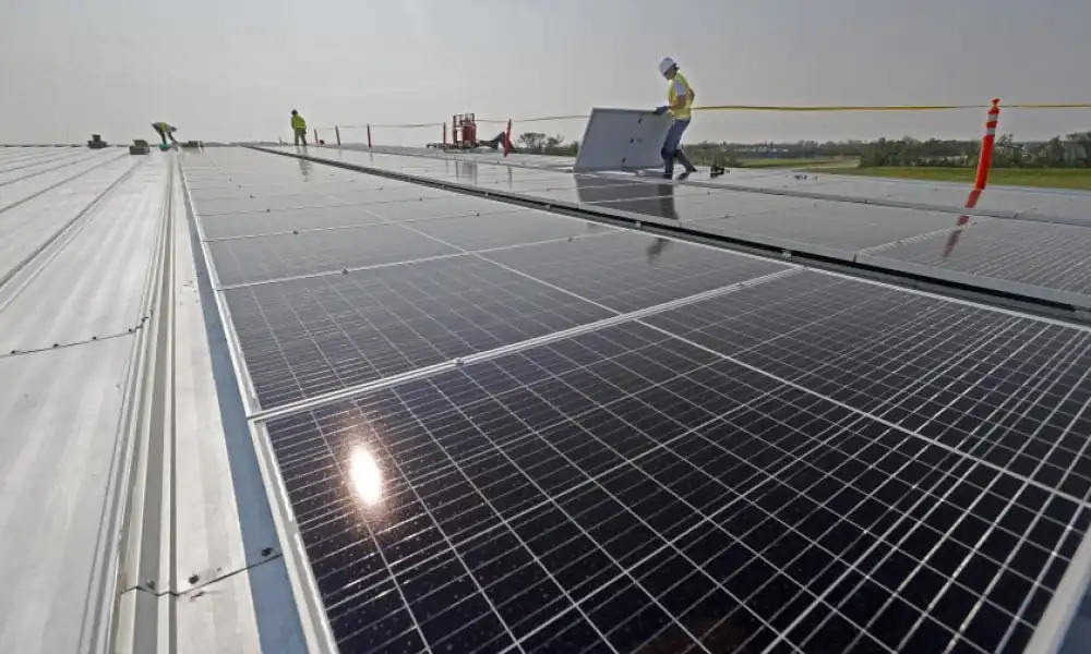 Read the Reviews and Testimonials from our Previous Customers