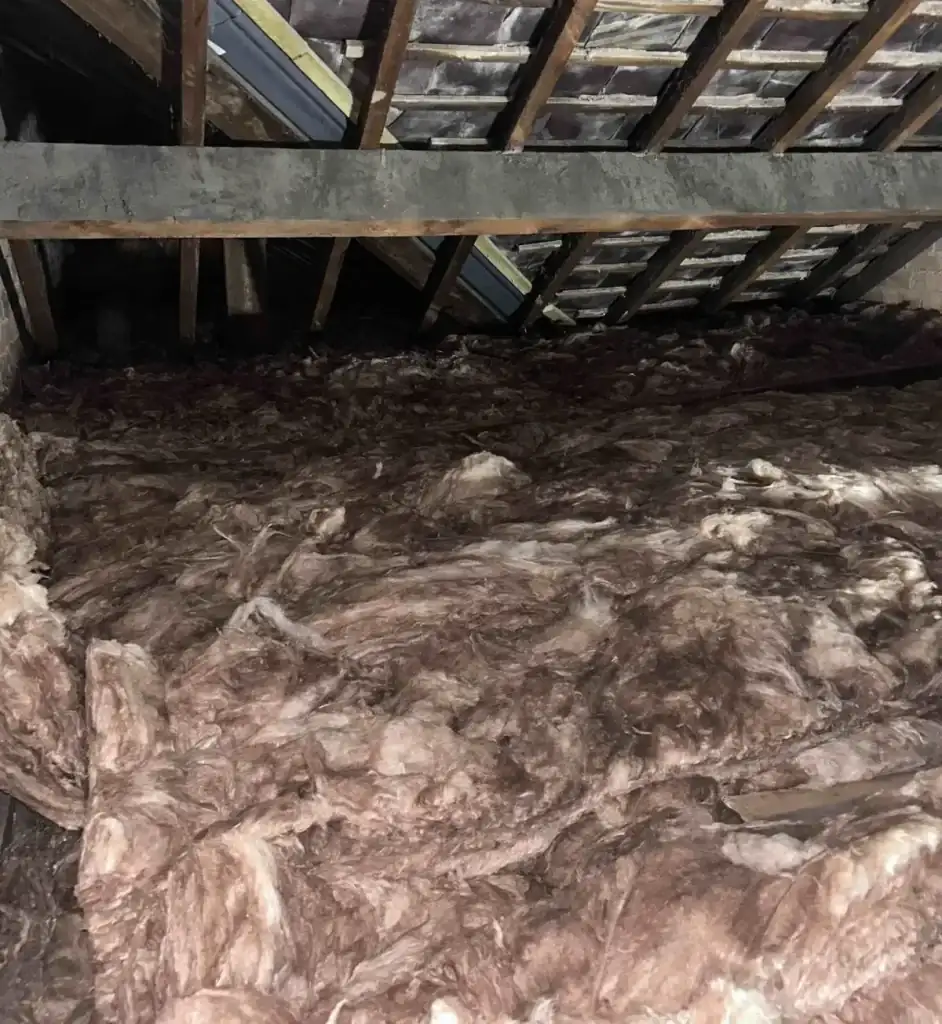 Professional Loft Insulation Services by Edanpower